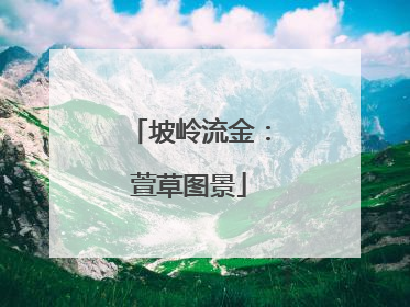 坡岭流金：萱草图景