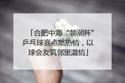合肥中海“领潮杯”乒乓球赛点燃热情，以球会友筑邻里温情