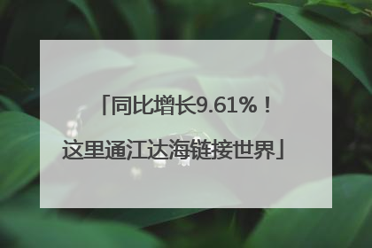 同比增长9.61%！这里通江达海链接世界