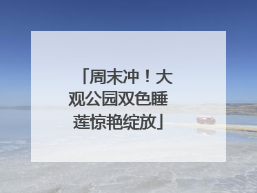 周末冲！大观公园双色睡莲惊艳绽放