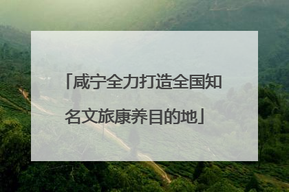 咸宁全力打造全国知名文旅康养目的地