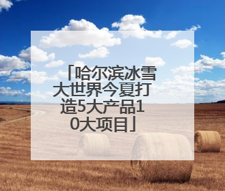 哈尔滨冰雪大世界今夏打造5大产品10大项目