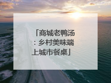 商城老鸭汤：乡村美味端上城市餐桌