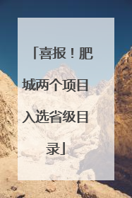 喜报！肥城两个项目入选省级目录