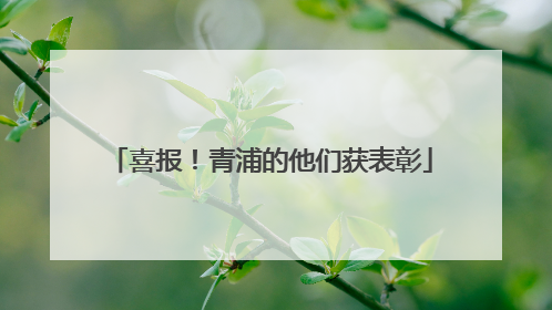 喜报！青浦的他们获表彰
