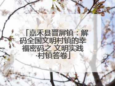 嘉禾县晋屏镇：解码全国文明村镇的幸福密码之 文明实践·村镇答卷