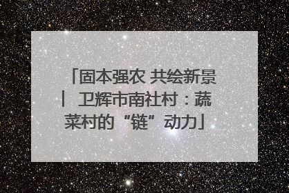 固本强农 共绘新景 ︳卫辉市南社村：蔬菜村的“链”动力