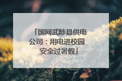 国网武陟县供电公司：用电进校园  安全过暑假