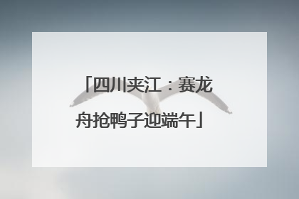 四川夹江：赛龙舟抢鸭子迎端午