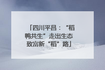 四川平昌：“稻鸭共生”走出生态致富新“稻”路