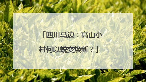 四川马边：高山小村何以蜕变焕新？