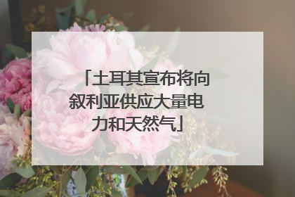 土耳其宣布将向叙利亚供应大量电力和天然气