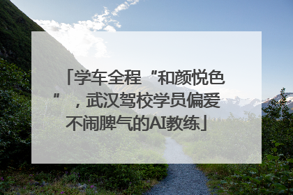 学车全程“和颜悦色”，武汉驾校学员偏爱不闹脾气的AI教练