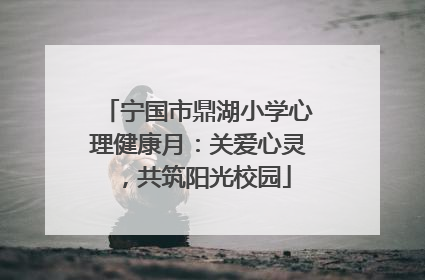 宁国市鼎湖小学心理健康月：关爱心灵，共筑阳光校园