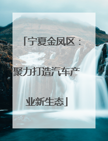 宁夏金凤区：聚力打造汽车产业新生态