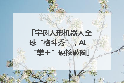 宇树人形机器人全球“格斗秀”，AI“拳王”硬核破圈
