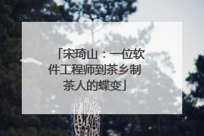 宋琦山：一位软件工程师到茶乡制茶人的蝶变