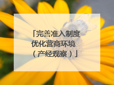 完善准入制度 优化营商环境（产经观察）