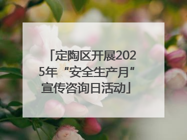定陶区开展2025年“安全生产月”宣传咨询日活动
