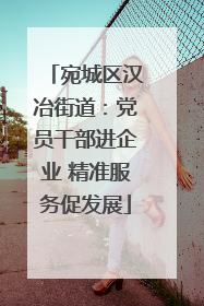 宛城区汉冶街道：党员干部进企业 精准服务促发展