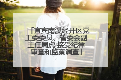 宜宾南溪经开区党工委委员、管委会副主任周虎 接受纪律审查和监察调查