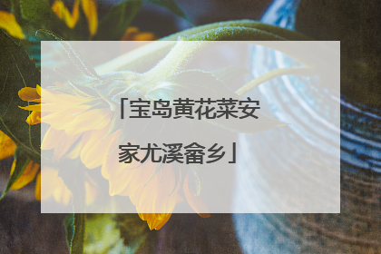 宝岛黄花菜安家尤溪畲乡