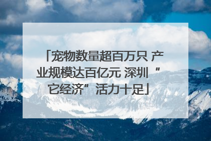 宠物数量超百万只 产业规模达百亿元 深圳“它经济”活力十足