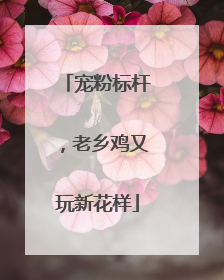 宠粉标杆，老乡鸡又玩新花样