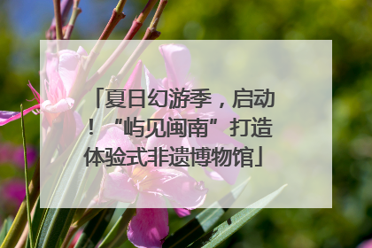 夏日幻游季，启动！“屿见闽南”打造体验式非遗博物馆