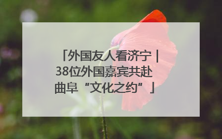 外国友人看济宁｜38位外国嘉宾共赴曲阜“文化之约”