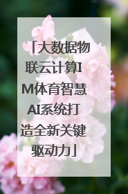 大数据物联云计算IM体育智慧AI系统打造全新关键驱动力
