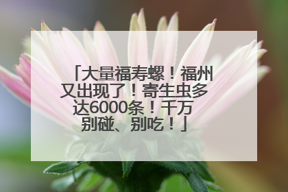大量福寿螺！福州又出现了！寄生虫多达6000条！千万别碰、别吃！