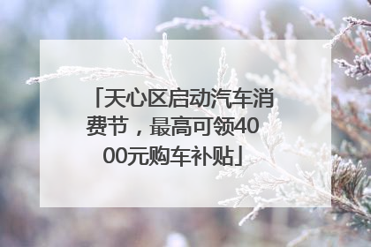 天心区启动汽车消费节，最高可领4000元购车补贴