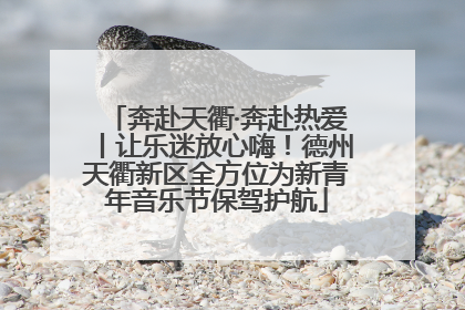 奔赴天衢·奔赴热爱丨让乐迷放心嗨！德州天衢新区全方位为新青年音乐节保驾护航