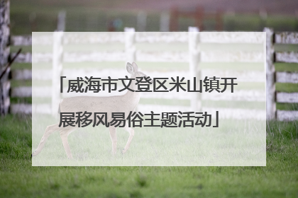 威海市文登区米山镇开展移风易俗主题活动