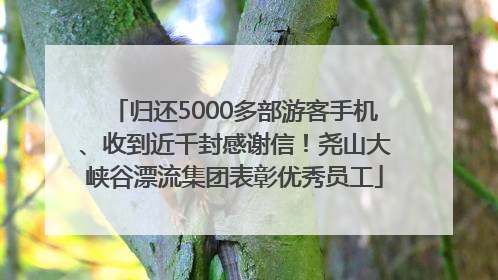归还5000多部游客手机、收到近千封感谢信！尧山大峡谷漂流集团表彰优秀员工