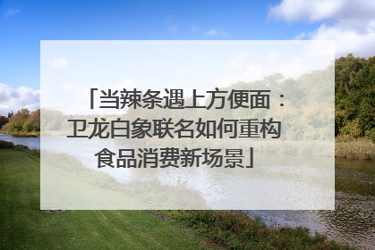 当辣条遇上方便面：卫龙白象联名如何重构食品消费新场景