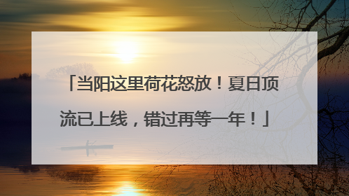 当阳这里荷花怒放！夏日顶流已上线，错过再等一年！
