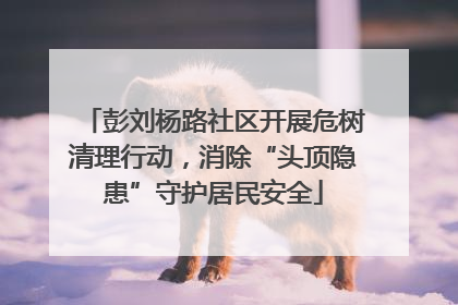 彭刘杨路社区开展危树清理行动,消除“头顶隐患”守护居民安全