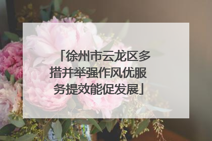 徐州市云龙区多措并举强作风优服务提效能促发展