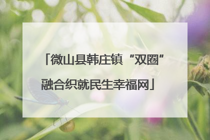 微山县韩庄镇“双圈”融合织就民生幸福网