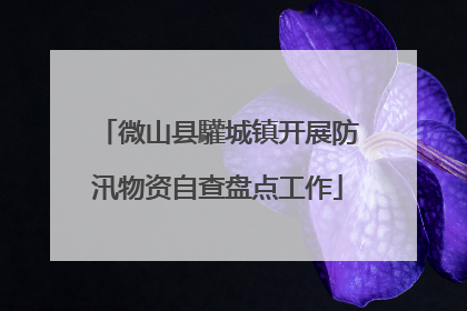 微山县驩城镇开展防汛物资自查盘点工作