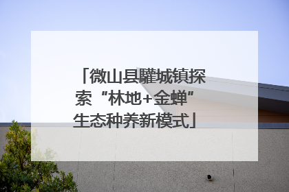 微山县驩城镇探索“林地+金蝉”生态种养新模式
