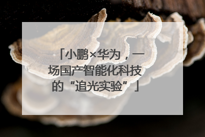 小鹏×华为，一场国产智能化科技的“追光实验”