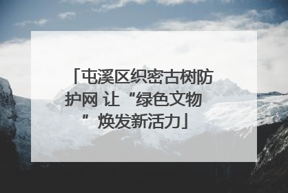 屯溪区织密古树防护网 让“绿色文物”焕发新活力