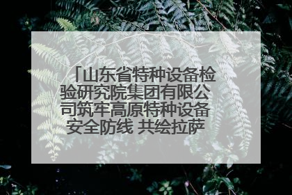 山东省特种设备检验研究院集团有限公司筑牢高原特种设备安全防线 共绘拉萨美好生活画卷