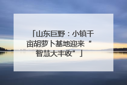 山东巨野：小镇千亩胡萝卜基地迎来“智慧大丰收”
