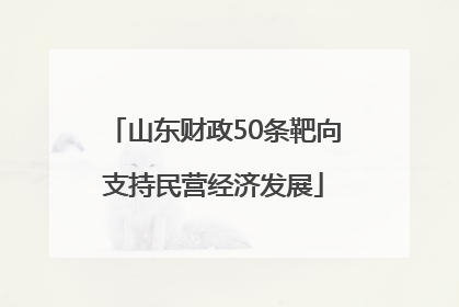 山东财政50条靶向支持民营经济发展