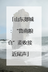 山东郯城：“鲁南粮仓”麦收接近尾声
