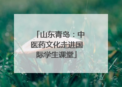 山东青岛：中医药文化走进国际学生课堂
